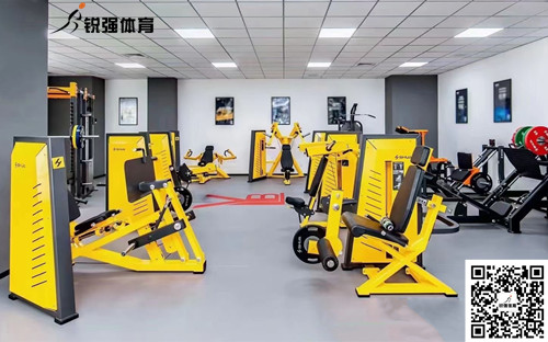 辽宁某羽毛球俱乐部助力体能训练健身房解决方案