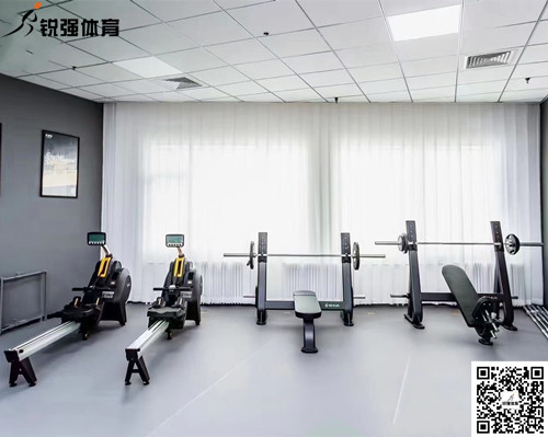 辽宁某羽毛球俱乐部助力体能训练健身房解决方案