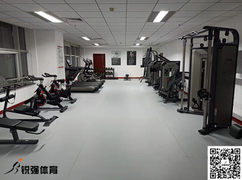 济南某集团采购的提供的健身器材